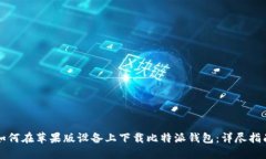 如何在苹果版设备上下载比特派钱包：详尽指南