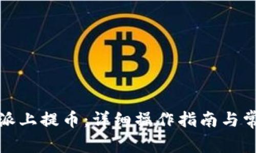 如何在比特派上提币：详细操作指南与常见问题解答