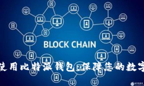 如何安全使用比特派钱包：保障您的数字资产安全