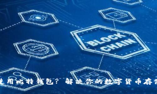 如何安全地使用比特钱包? 解决你的数字货币存储与交易需求
