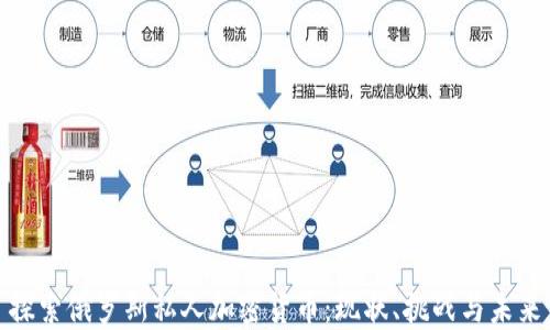 
探索俄罗斯私人加密货币：现状、挑战与未来