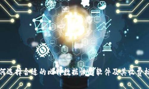 如何选择合适的比特数据恢复软件及其收费标准