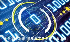   电子货币加密：保障数字资产安全的未来