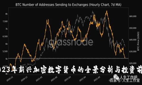 2023年新兴加密数字货币的全景分析与投资前景