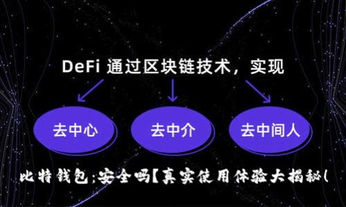 比特钱包：安全吗？真实使用体验大揭秘！