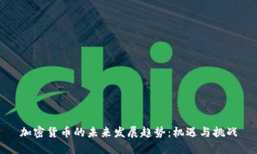 加密货币的未来发展趋势：机遇与挑战