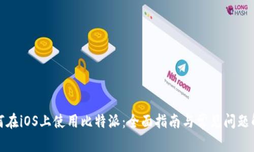 如何在iOS上使用比特派：全面指南与常见问题解答