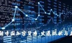 深入了解中国加密货币：发展现状与未来趋势