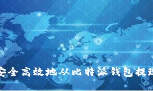 如何安全高效地从比特派钱包提现资金