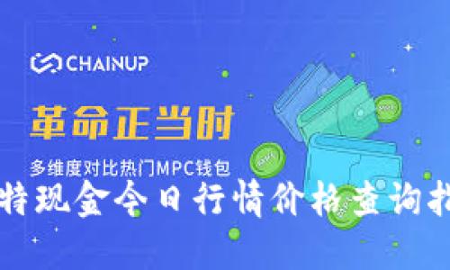 比特现金今日行情价格查询指南