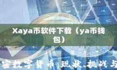 中国的加密数字货币：现状、挑战与未来展望