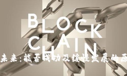 派币的未来：能否成功及缓慢发展的原因分析