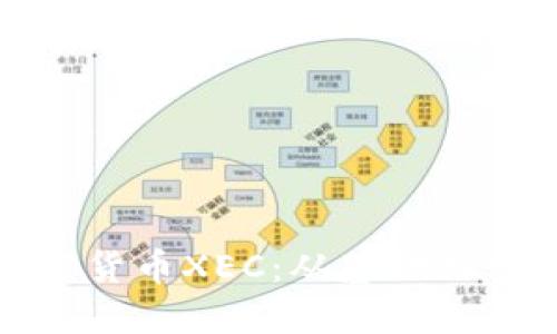 深入了解加密货币XEC：从基础知识到投资策略