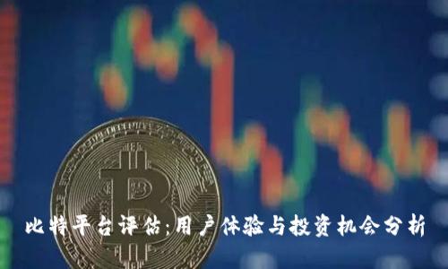 比特平台评估：用户体验与投资机会分析