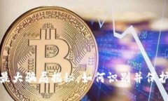 加密货币最大骗局揭秘：如何识别并保护你的投