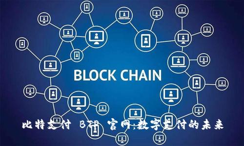 比特支付 BTP 官网：数字支付的未来