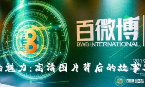 加密货币的魅力：高清图片背后的故事与投资机会