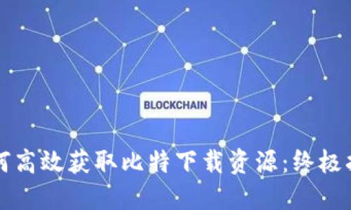 如何高效获取比特下载资源：终极指南