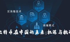 比特币在中国的未来：机遇与挑战