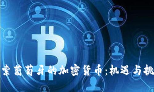 探索葡萄牙的加密货币：机遇与挑战