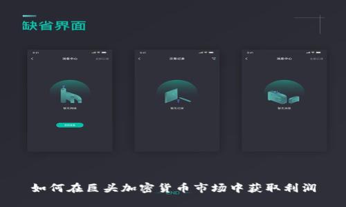 如何在巨头加密货币市场中获取利润
