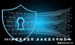 SEC加密货币监管：未来发展与市场影响