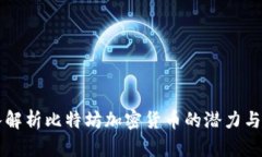 深入解析比特坊加密货币的潜力与应用