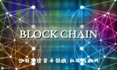 沙特加密货币领域：机遇与挑战