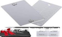 : 深入解析白鲸币：加密数字货币的潜力与应用