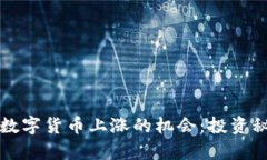 如何把握加密数字货币上涨的机会：投资秘籍与