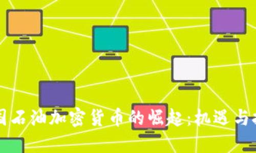 美国石油加密货币的崛起：机遇与挑战