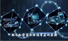 揭示加密货币涨幅背后的原因