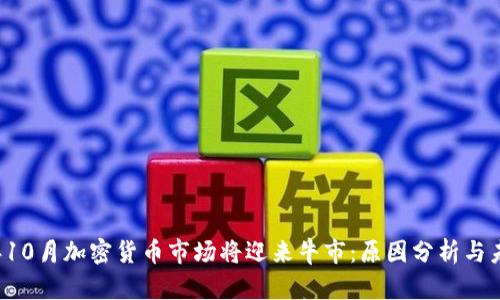 2023年10月加密货币市场将迎来牛市：原因分析与未来展望