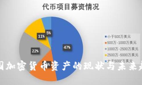 美国加密货币资产的现状与未来趋势