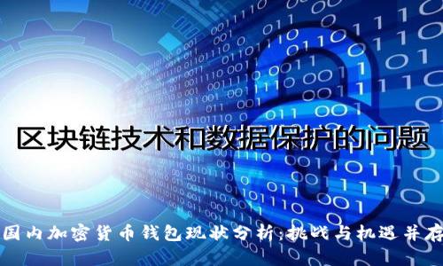 国内加密货币钱包现状分析：挑战与机遇并存