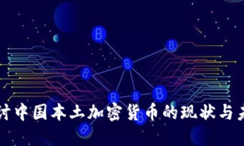 深入探讨中国本土加密货币的现状与未来发展