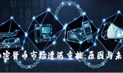 全球加密货币市场遭遇重挫：原因与未来展望