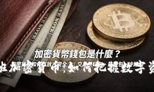 : 探索库班加密货币：如何把握数字资产的未来