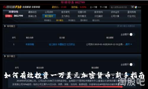 如何有效投资一万美元加密货币：新手指南