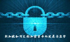 新加坡如何支持加密货币的发展与监管