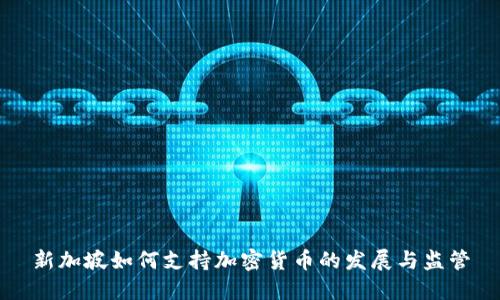 新加坡如何支持加密货币的发展与监管