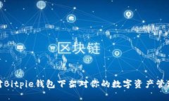 如何应对Bitpie钱包下架对你的数字资产管理的影