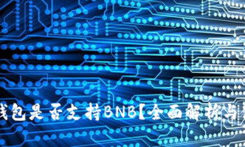 比特派钱包是否支持BNB？全面解析与使用指南