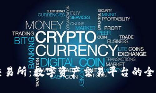 比特交易所：数字资产交易平台的全景解析