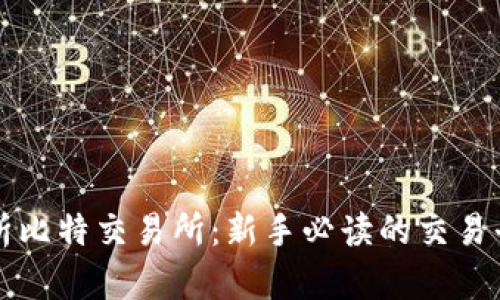 全面解析比特交易所：新手必读的交易平台指南