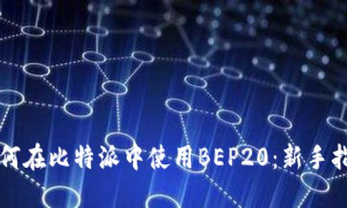 如何在比特派中使用BEP20：新手指南