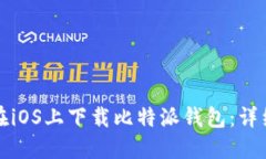如何在iOS上下载比特派钱包：详细指南