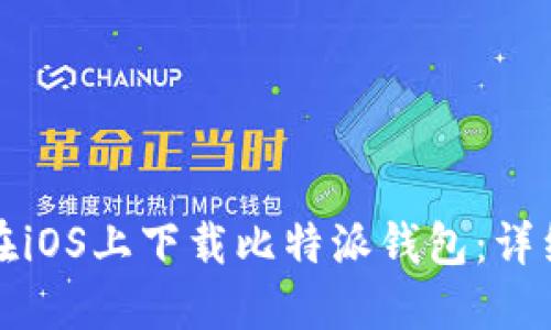 如何在iOS上下载比特派钱包：详细指南