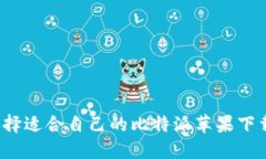 如何选择适合自己的比特派苹果下载版本？