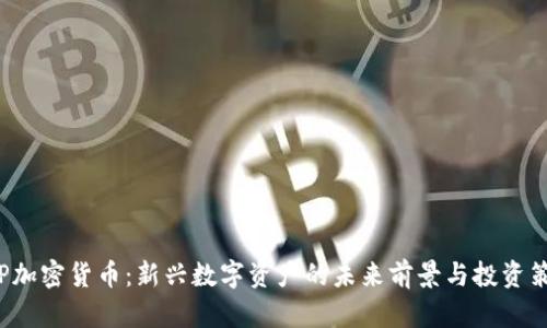 IGP加密货币：新兴数字资产的未来前景与投资策略